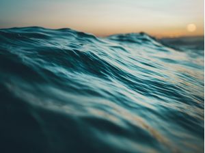 SEA FIRST