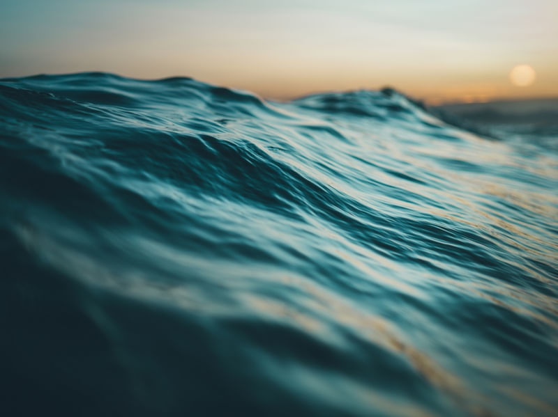 SEA FIRST