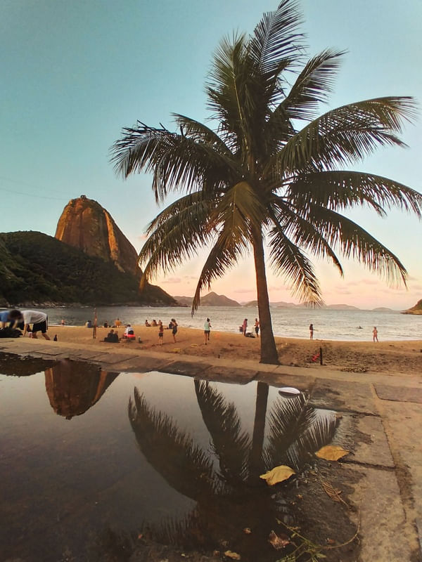 URCA REFLETIDA 1
