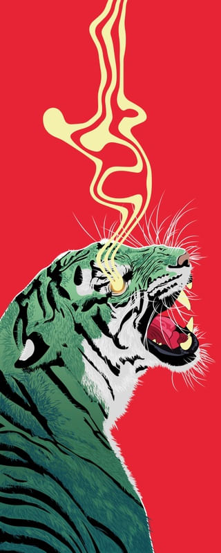 TIGER ARMY