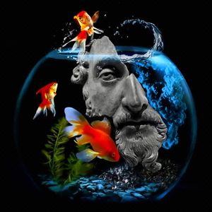 MY FISH
