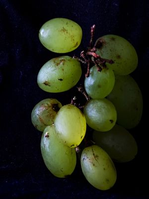 CACHOS DE UVAS