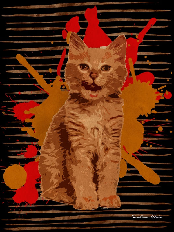 O GATO MODERNO
