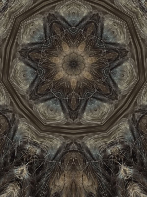 VITRAL / CÚPULA 1
