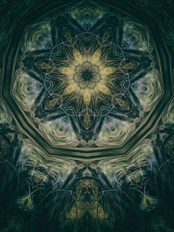 VITRAL / CÚPULA 2