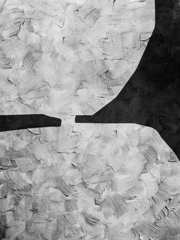 BLACK AND WHITE ABSTRACT ART - SHAPES AND BRUSHES - 1012
