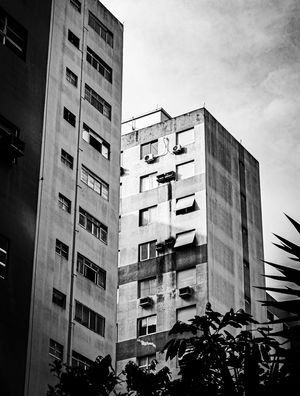 PRÉDIOS E PLANTAS