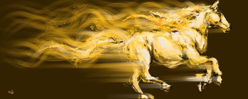 GOLDEN HORSE GRAFF