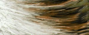 FLOCK AND DOWN 4 PANORAMICO, PENAS ABSTRATO FLUXO PINTURA