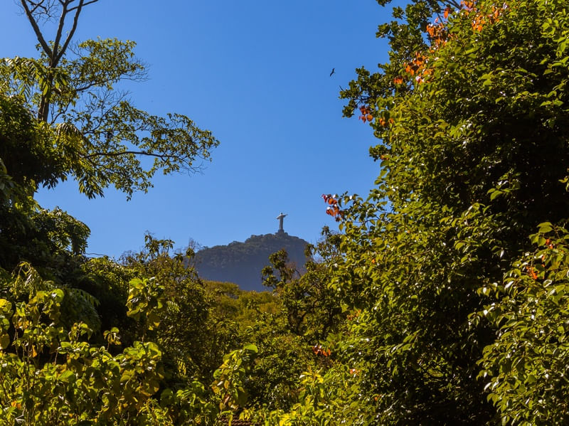CRISTO E A NATUREZA