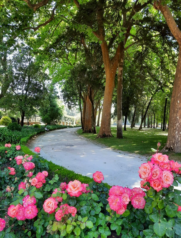 ESTRADA DAS ROSAS
