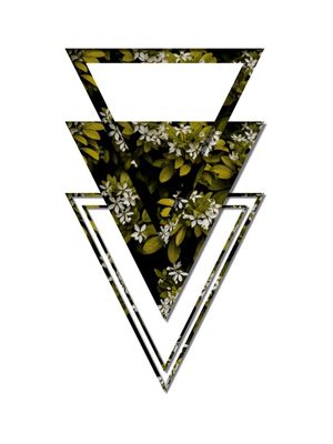 ELEMENTO TRI I