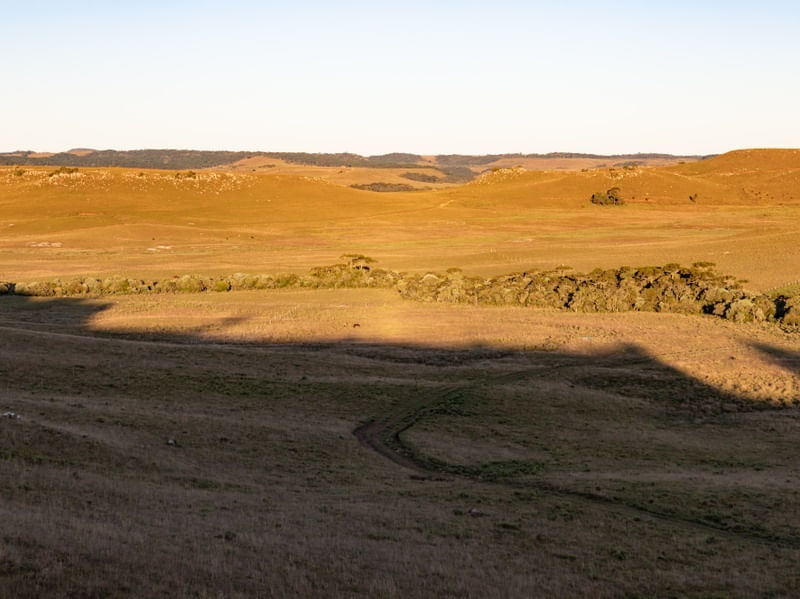 CAMPOS DE CIMA DA SERRA AO ENTARDECER