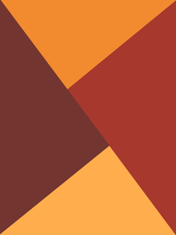 FORMA GEOMETRICA