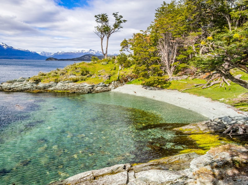 PEQUENA PRAIA NO PARQUE NACIONAL TIERRA DEL FUEGO