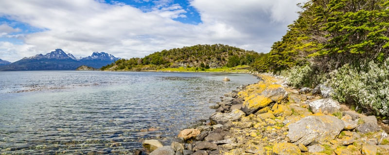 FLORESTA E PEDRAS NO PARQUE NACIONAL TIERRA DEL FUEGO