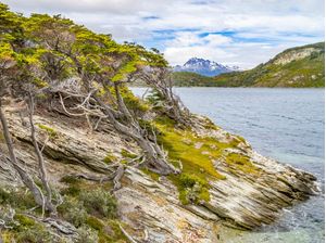 ÁRVORES E ROCHAS NO PARQUE NACIONAL TIERRA DEL FUEGO