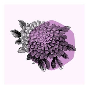 FLOR EM LÍLAS