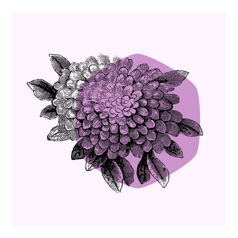 FLOR EM LÍLAS