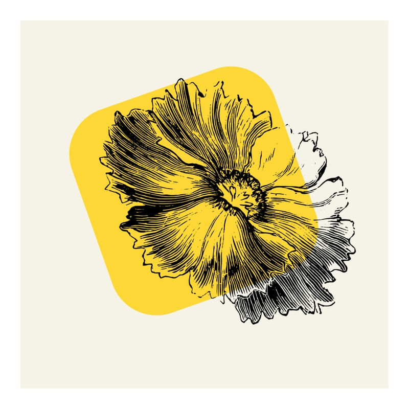FLOR EM AMARELO