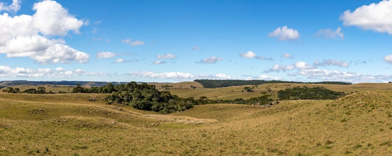 CAMPO EM FAZENDO NOS CAMPOS DE CIMA DA SERRA