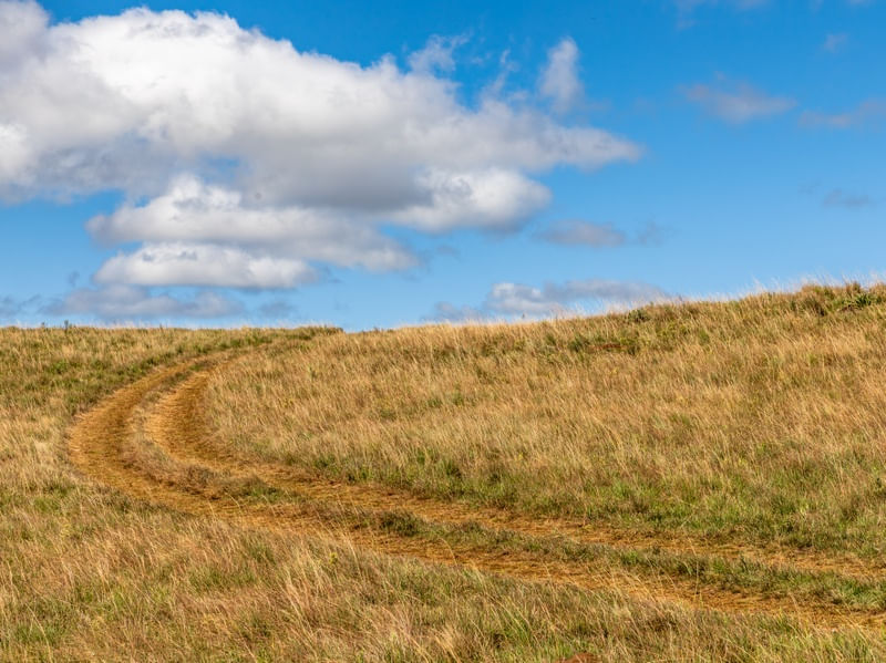 ESTRADA RURAL EM CAMPO DE FAZENDA