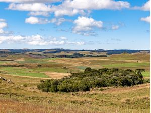 FAZENDA COM PLANTAÇÕES E FLORESTA DE ARAUCÁRIA