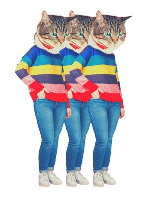 GATOS ESTILOSOS