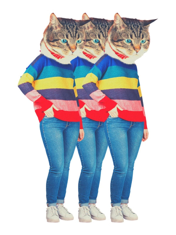 GATOS ESTILOSOS