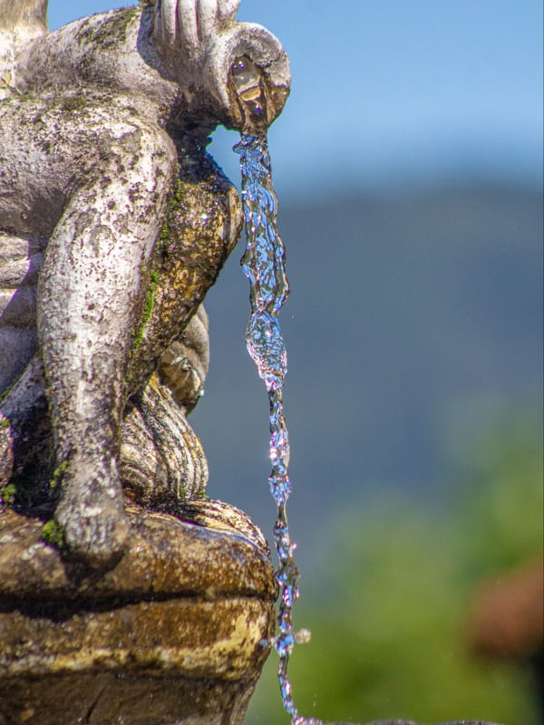 AGUA NA FONTE