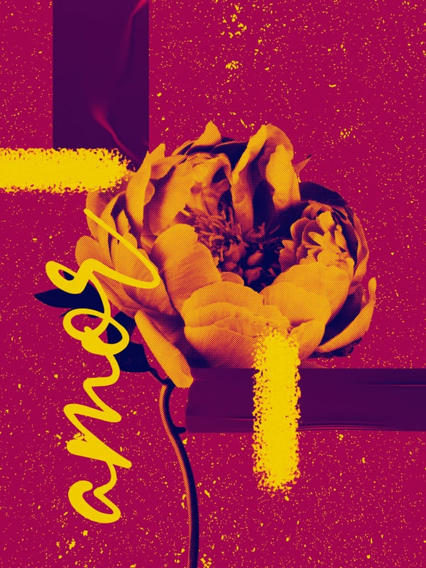 FLOR ROSA AMARELO