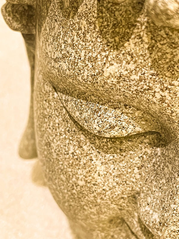 BUDA CLOSE LIGHT