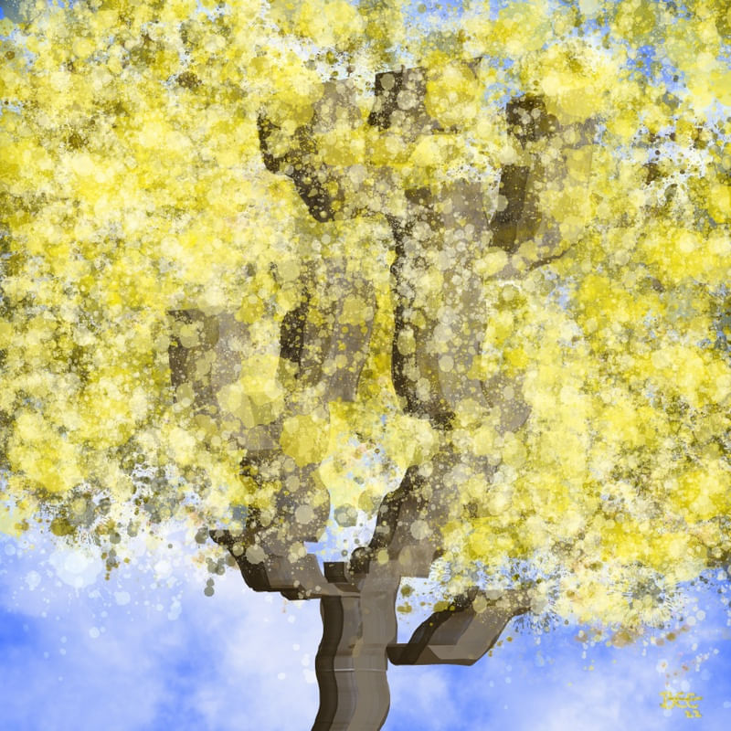 A IPÊ AMARELO