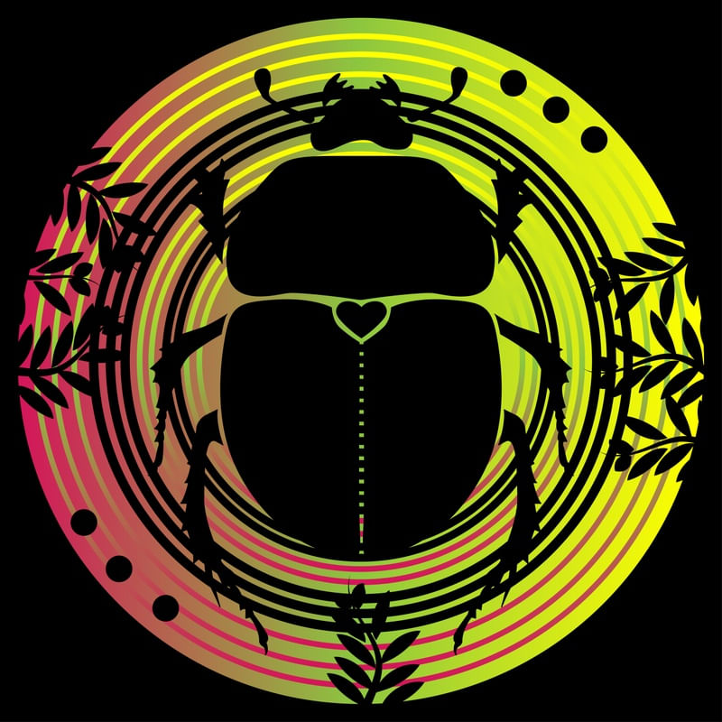 MEDALHÃO DE COLEOPTERA