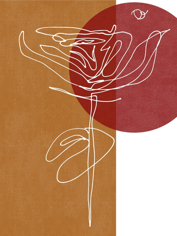 ROSAS EM TERRACOTTA