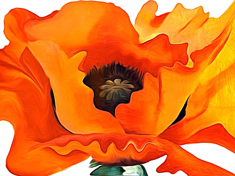 OIL PAINT DIGITAL - FLOR - 12A