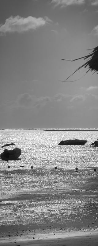MARES PRATEADOS LONG