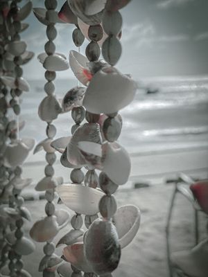 CONCHAS AO MAR