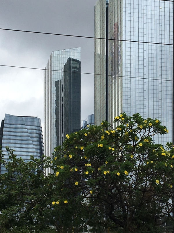 CONCRETO E FLOR 3