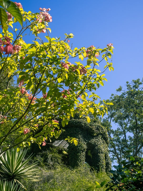 JARDIM LINDO