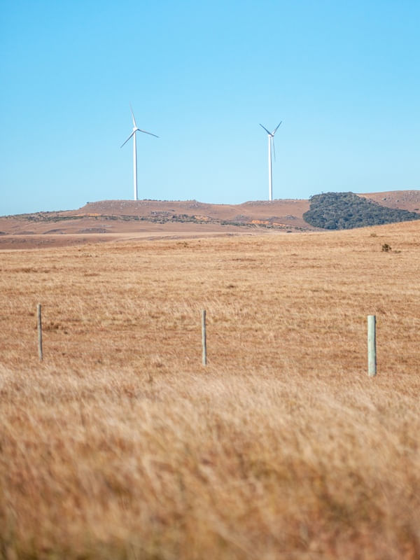 CAMPOS DE ENERGIA EÓLICA