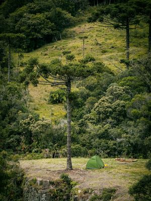 CAMPING DA ARAUCARIA
