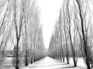 INVERNO DE VERSALHES