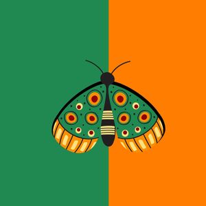 BORBOLETA EM VERDE E LARANJA