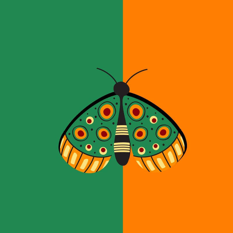 BORBOLETA EM VERDE E LARANJA