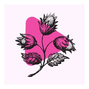 FLOR EM ROSA
