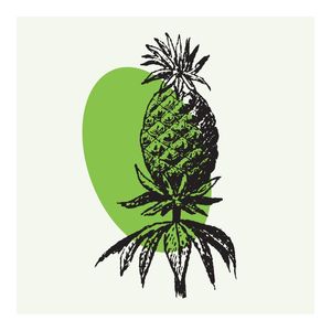 FLOR EM VERDE