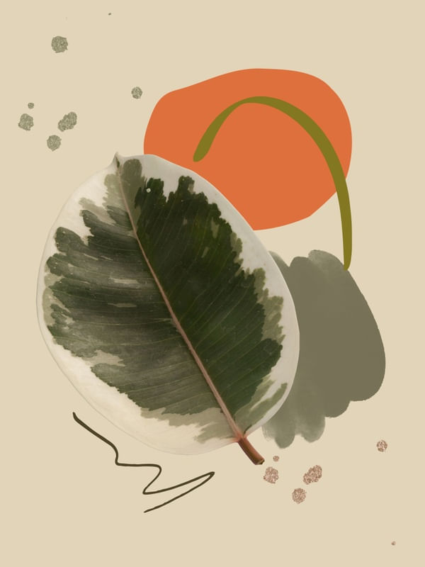 FOLHA EM ABSTRATO 1