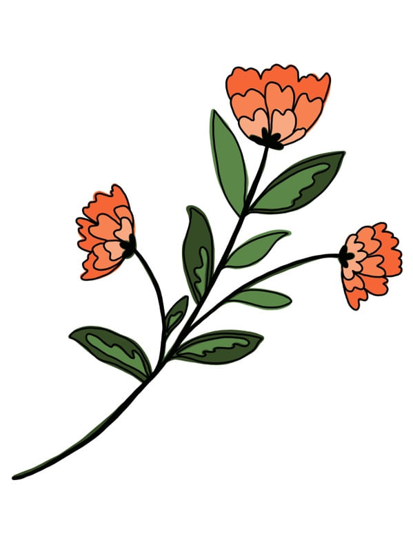 FLOR EM DEGRADÊ