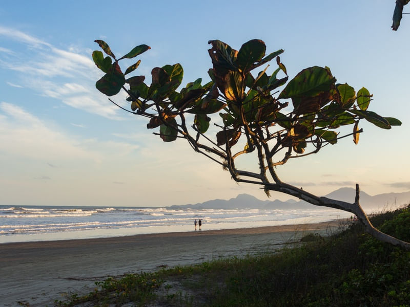 PASSEIO NA AREIA